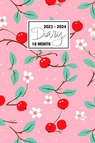 2023 - 2024