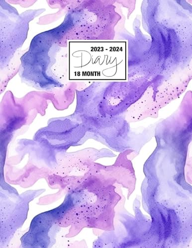 2023 - 2024