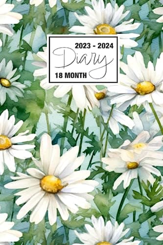2023 - 2024