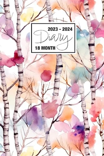 2023 - 2024