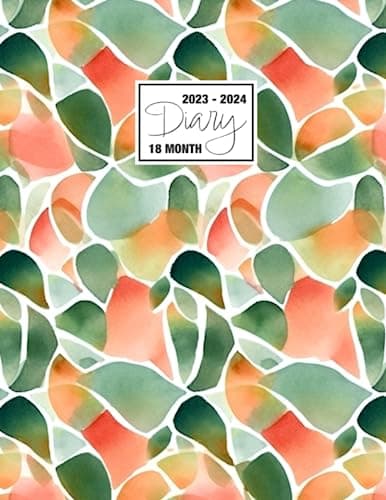 2023 - 2024
