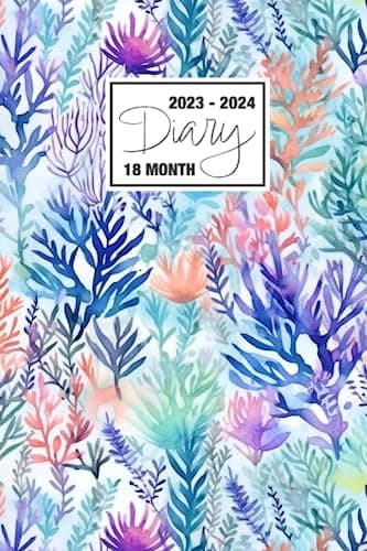 2023 - 2024