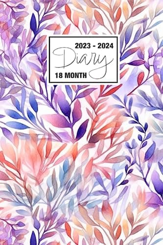 2023 - 2024