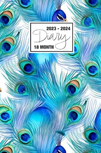 2023 - 2024