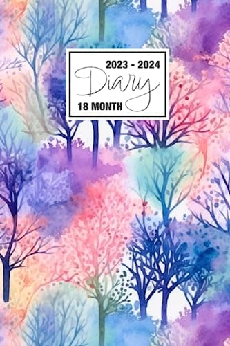 2023 - 2024