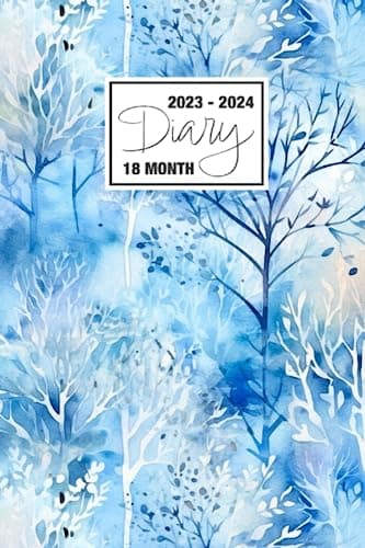 2023 - 2024
