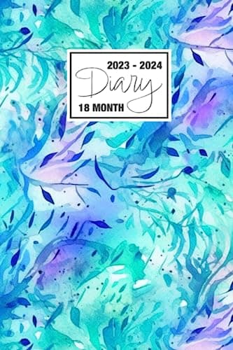 2023 - 2024