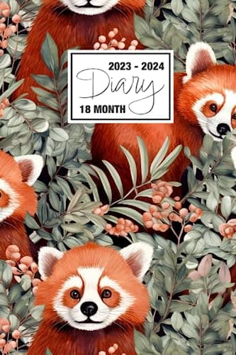2023 - 2024