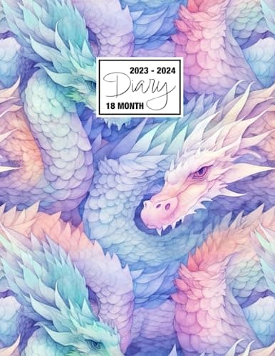 2023 - 2024