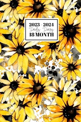 2023 - 2024