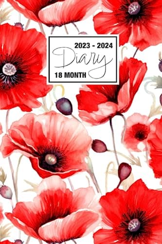 2023 - 2024