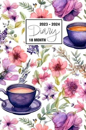 2023 - 2024