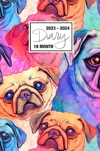 2023 - 2024