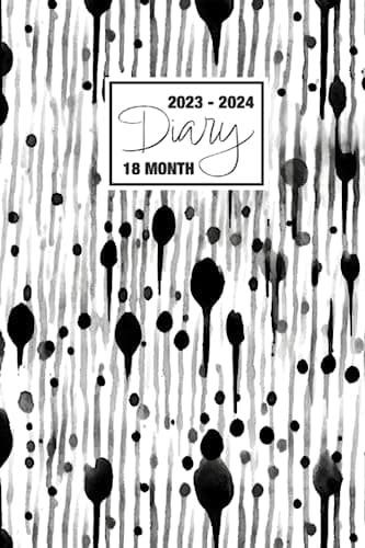 2023 - 2024