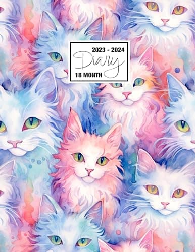 2023 - 2024