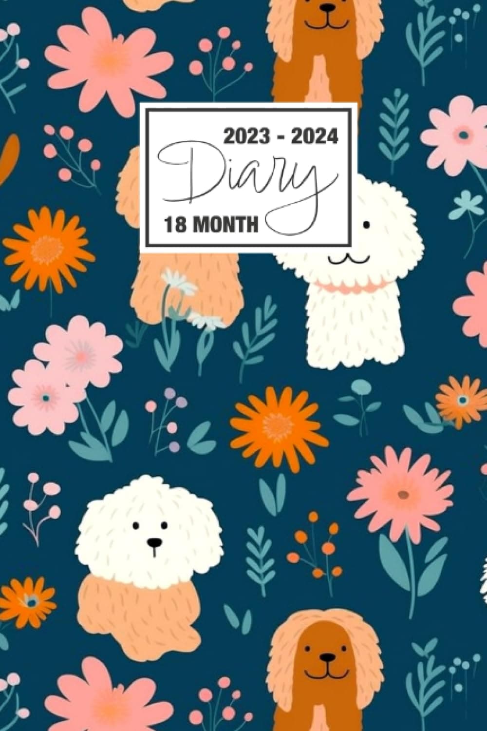 2023 - 2024