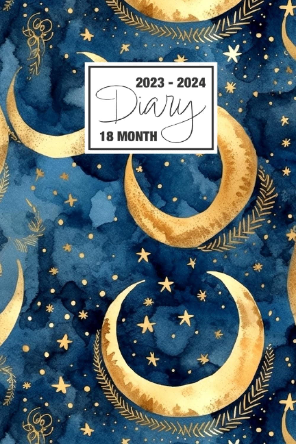 2023 - 2024