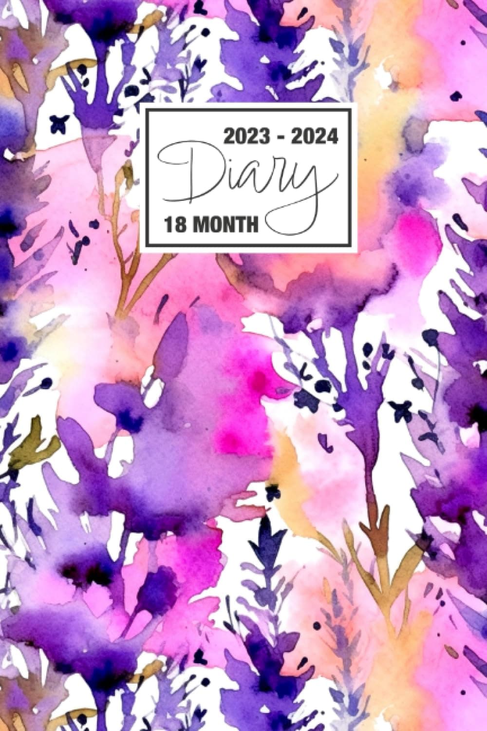 2023 - 2024
