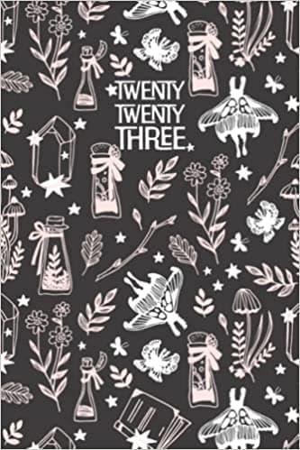 2023 Daily Diaries