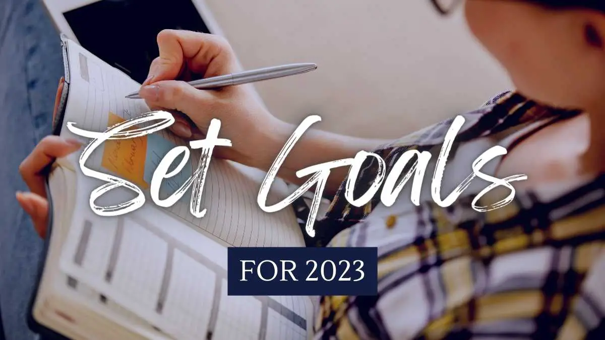 goal in 2023 essay