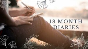 18 Month Diaries